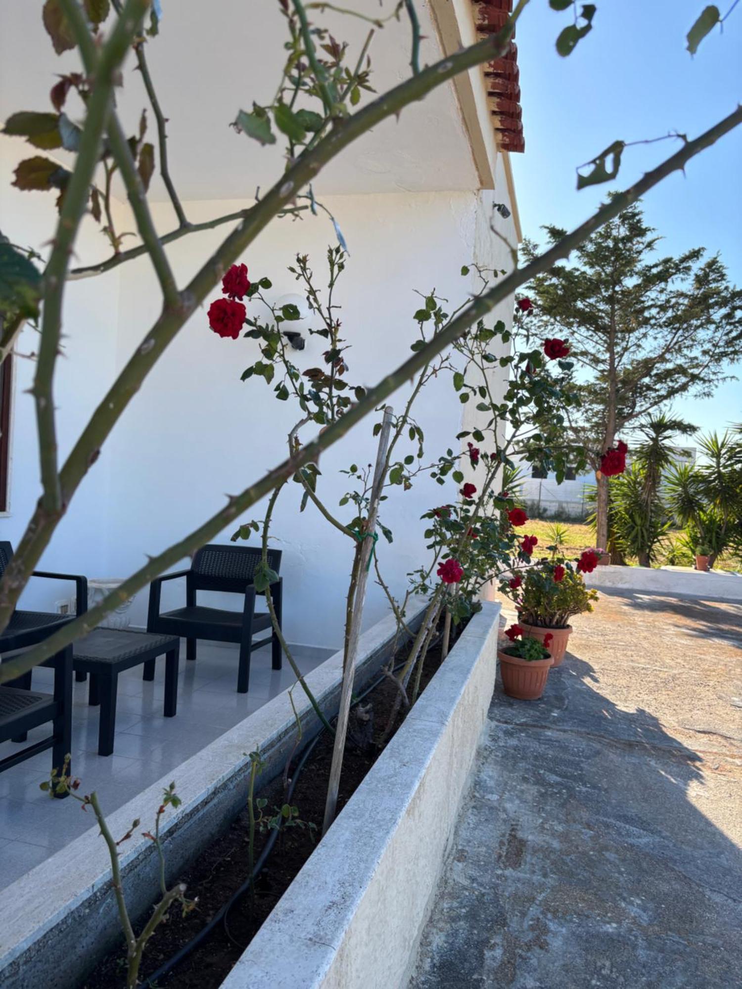 הוילה טורה סנטה סאבינה Lilly'S House מראה חיצוני תמונה